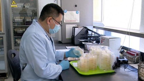 17年上海3人吃蛋糕,一死一傷一人卻沒事,報警調查發(fā)現(xiàn)不簡單